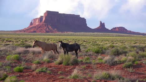 Los-Caballos-Pastan-Con-La-Belleza-Natural-Del-Valle-Del-Monumento-Utah-En-El-Fondo-9