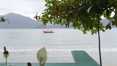 Revealing-side-traveling-shot-of-tree-and-lonely-boat-in-the-middle-of-the-sea