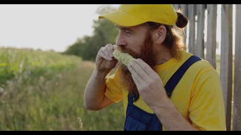 man eating corn in a field