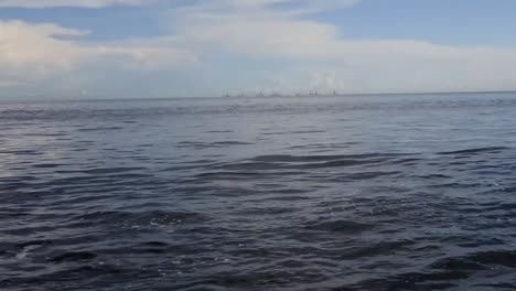 Amazing-pod-of-dolphins-swimming-with-mountains-in-the-background