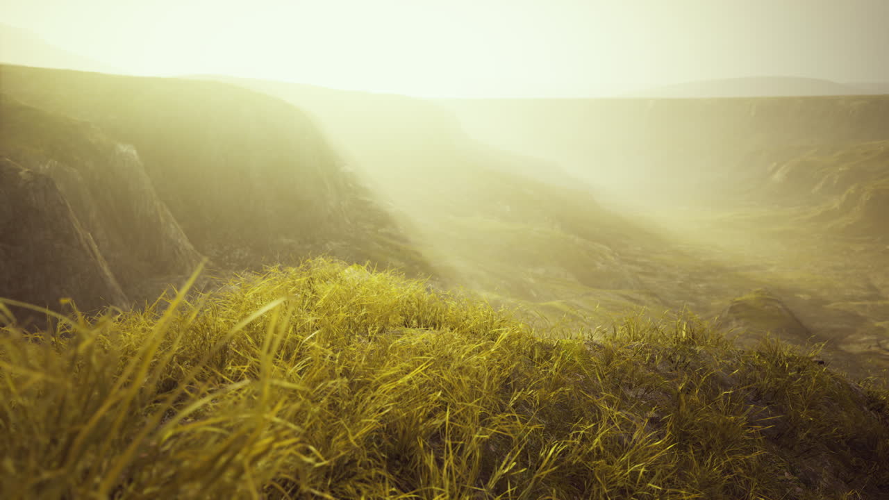 황금의 바위와 산의 풀