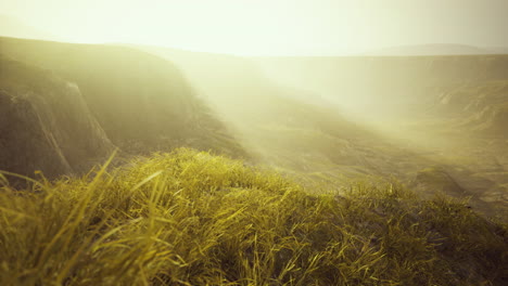golden rocks and grass in mountains