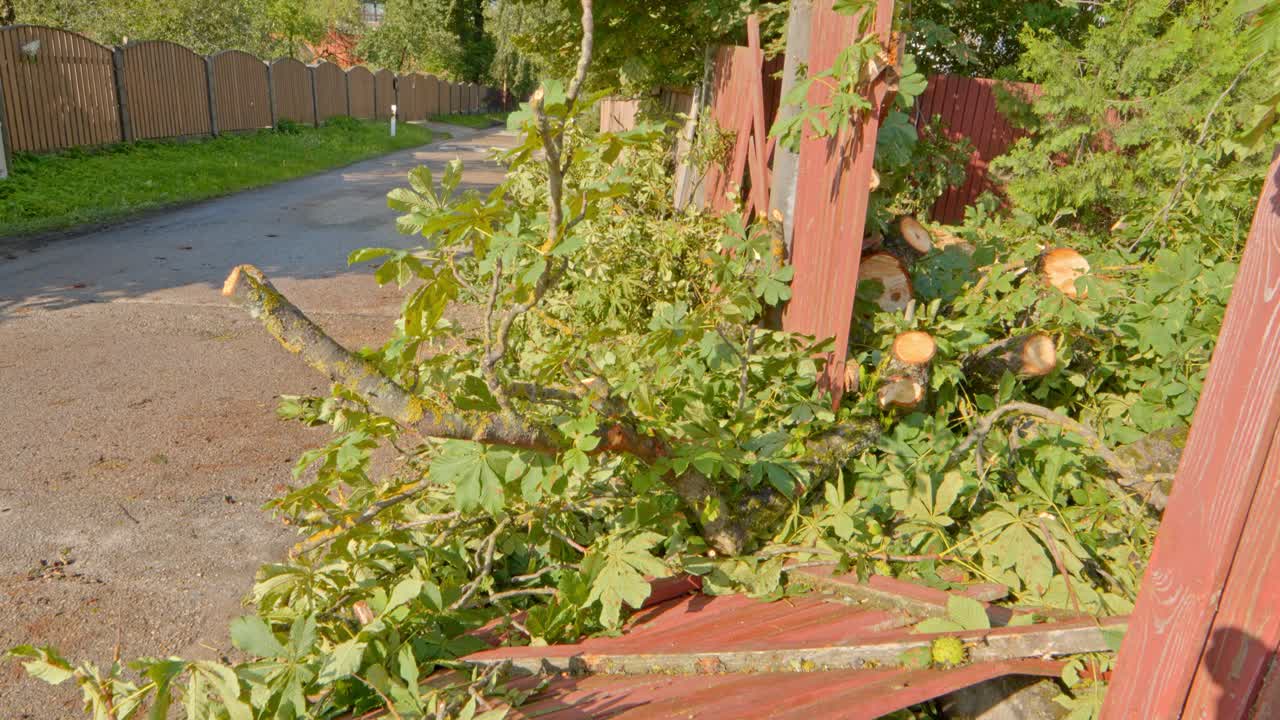 여름 폭풍 이후의 손상으로 인한 클로즈업  ⁇ 트업: 깨진 울타리와 나무