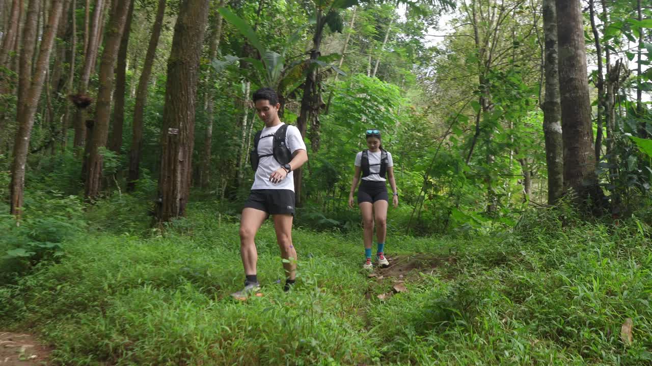 부부 가 울창 한 숲 에서 산책 하고 있다