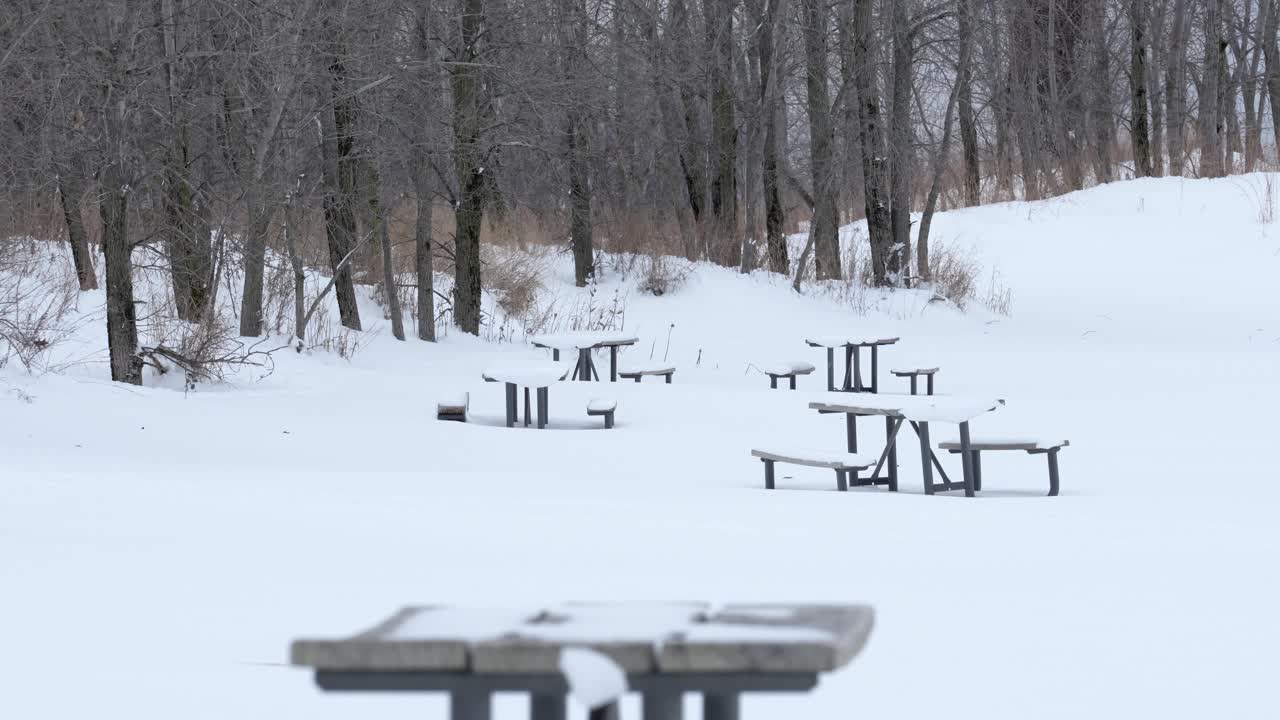 눈으로 뒤덮인 해변의 넓은 피크닉 테이블