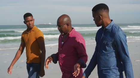 padre mayor afroamericano y hijos gemelos adolescentes caminando por una playa y hablando