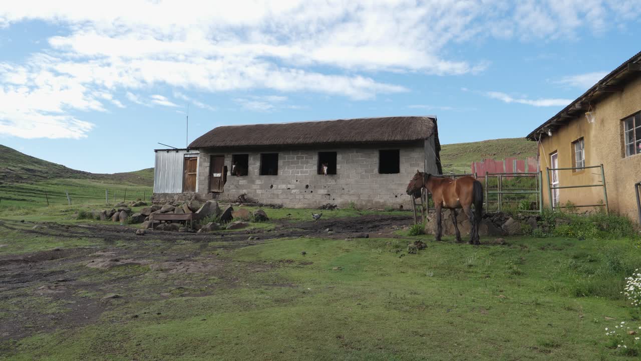 escena pacífica del corral de caballos en el reino montañoso africano de lesotho
