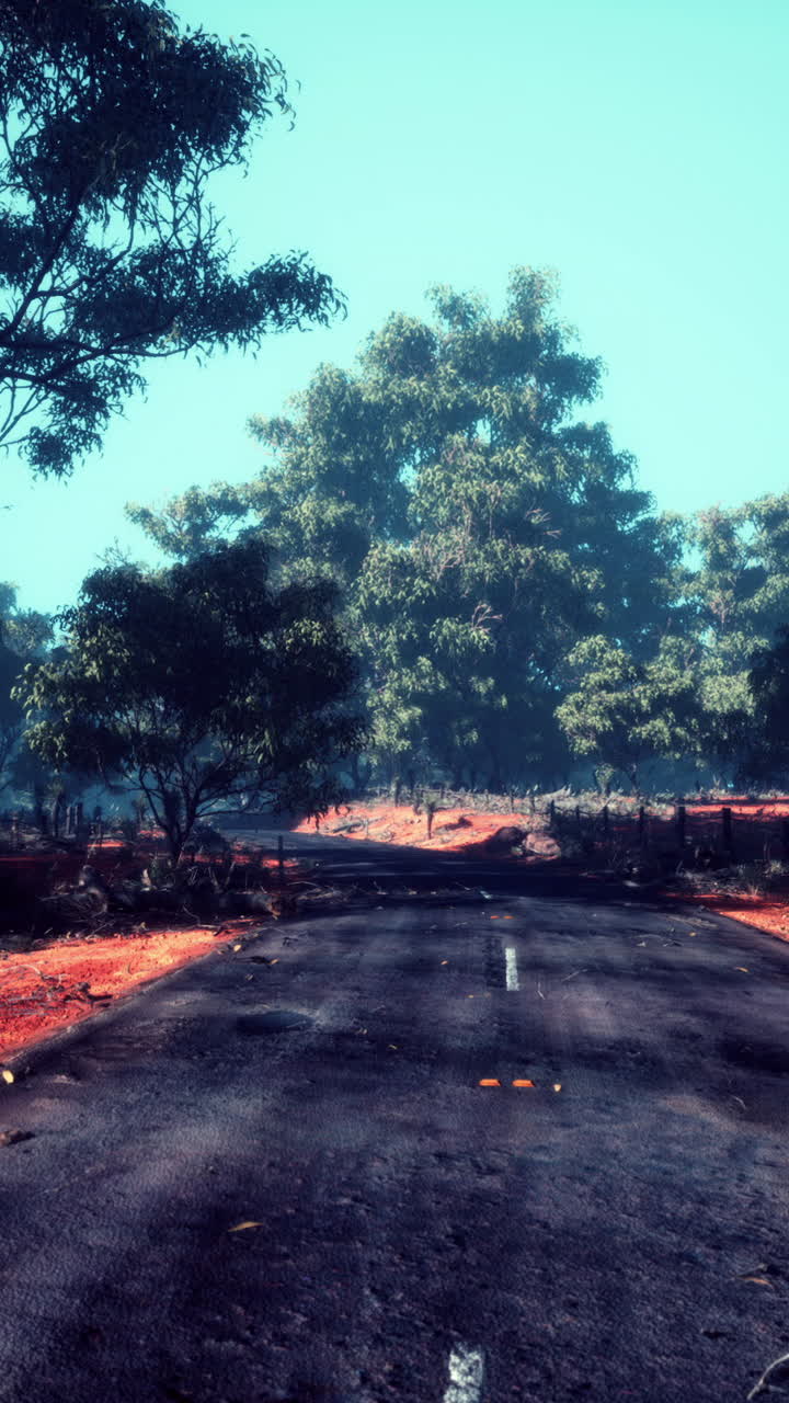 camino abandonado a través de un bosque