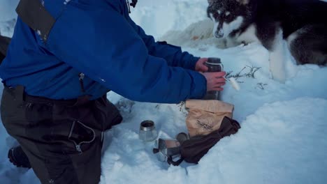 在雪地景觀上的阿拉斯加馬拉穆特旁邊的<unk>製咖啡機