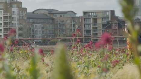 long shot of two friends walking and taking through flower garden