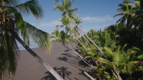 Leerer-Strand-In-Costa-Rica