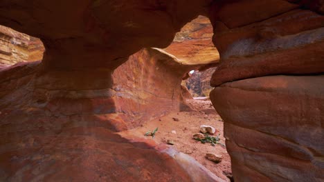 walking along tombs in petra close to the treasury, historic unesco heritage site carved into red rock sandstone in jordan. famous indiana jones movie filming location and tourist destination khaznet.