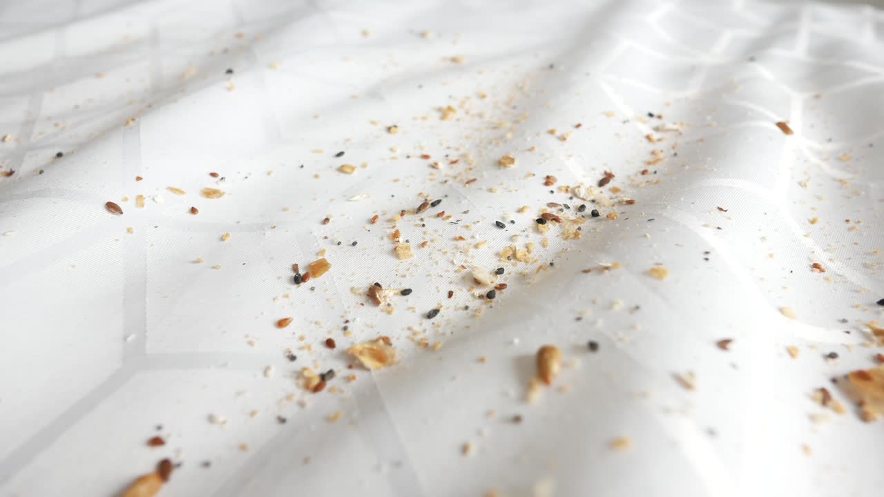 색 식탁 위 에 있는  어리