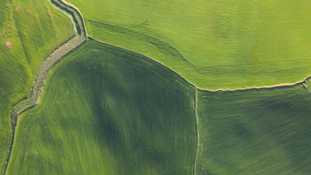 Vista aérea de campos verdes en mosaico con patrones de cultivo visibles en un paisaje rural