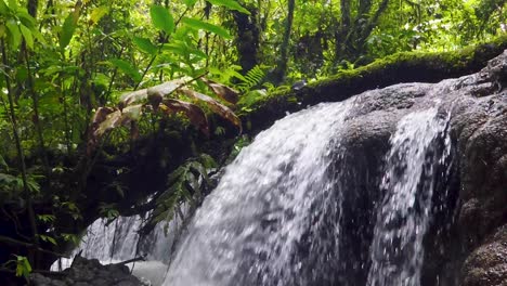 closeup of cascading waterfall in rainforest on bougainville island, papua new guinea