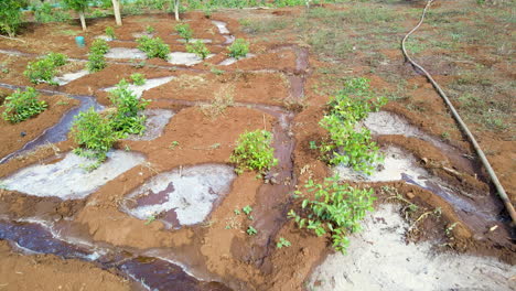 low aerial over small stream of water used to grow crops on a small farm in kenya