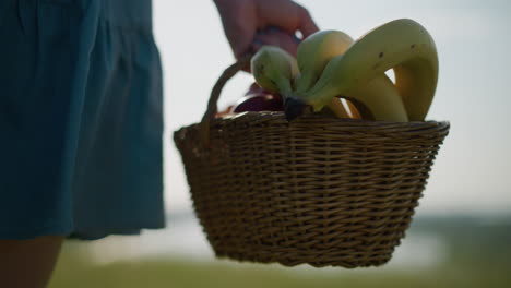 se ve la mano de una mujer llevando una canasta llena de plátanos, manzanas y otras frutas mientras camina por un campo de hierba exuberante. la mujer lleva un vestido azul fluido, y su cara no se ve
