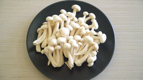 Seta de haya blanca fresca o seta reishi blanca en placa