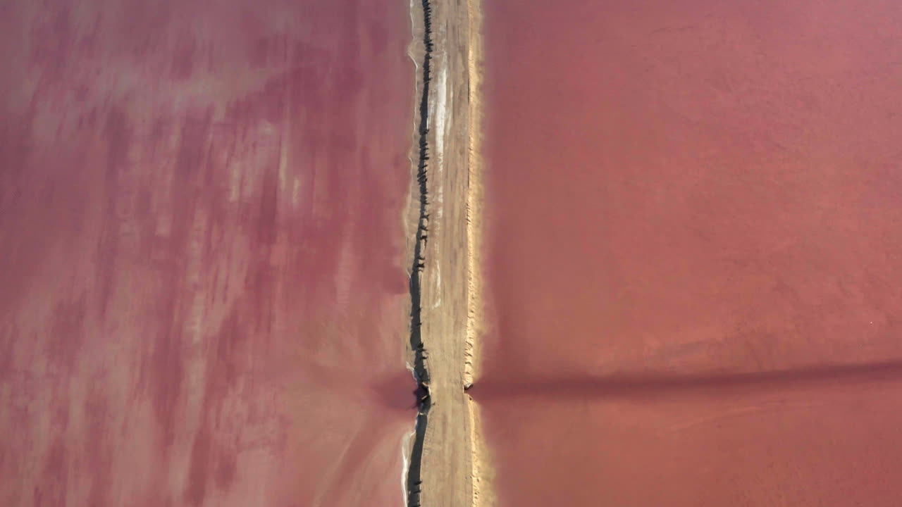 소금 함량이 높은 소금 물이 해조류로 분홍색으로 변한 소금 증발 연못