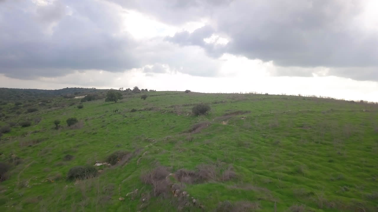 antena de campos verdes en el desierto de israel - tierra santa 04