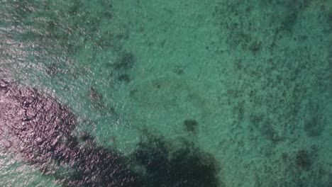 Vista-Aérea-Del-Agua-Azul-Del-Océano-Con-Olas,-Corales-Y-Plantas-Acuáticas-Isla-Mauricio