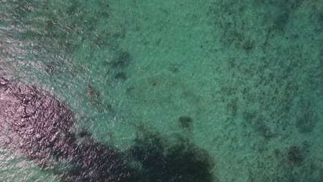 aerial view of ocean blue water with waves corals and water plants mauritius island