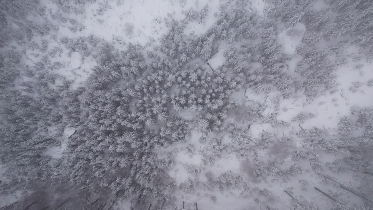 Drone pulling away view into clouds, snow covered trees and mountain landscape