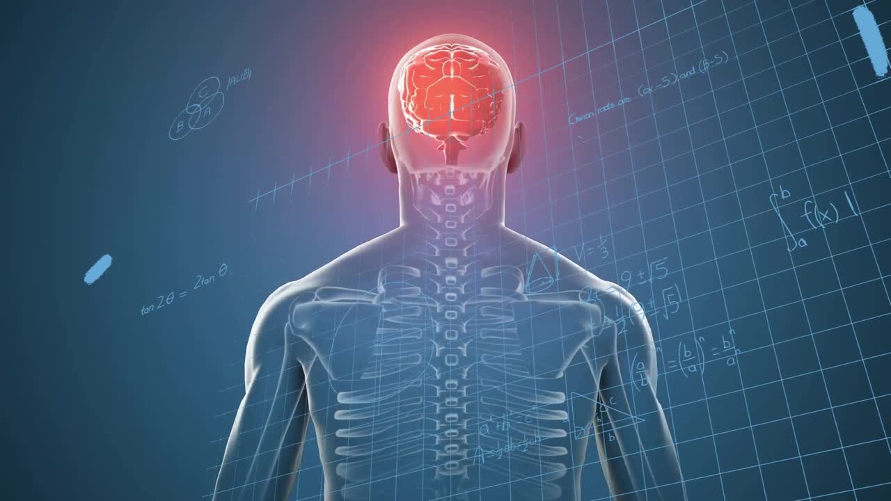 Torso transparente aparecendo aciona câmera que circula um cérebro brilhante com visualização matemática do pensamento