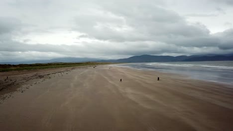 drone view of the irish shoreline