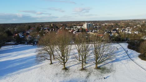 aerial de árboles altos en un parque cubierto de nieve en una ciudad rústica en un día soleado de invierno