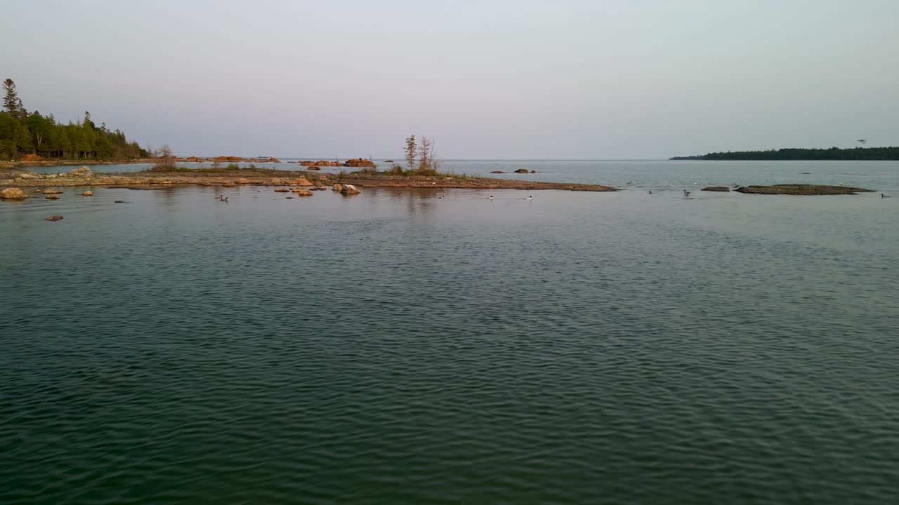 vista aérea de tres patos merganser despegando desde el agua, michigan
