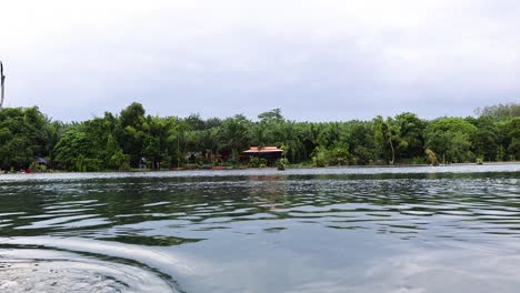 aguas tranquilas con un entorno verde exuberante