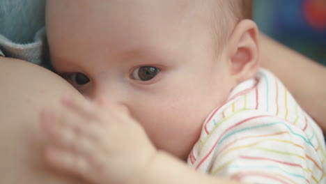 breastfeeding baby face. lovely infant eating mother milk. sweet motherhood