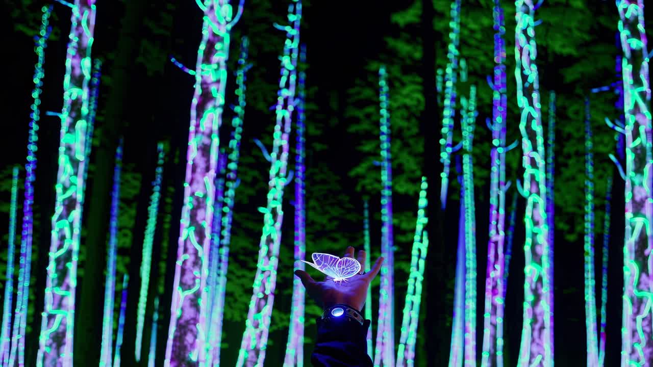 mariposa en un bosque brillante