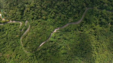 imágenes aéreas de la carretera rodeada de selva tropical y nubosidad