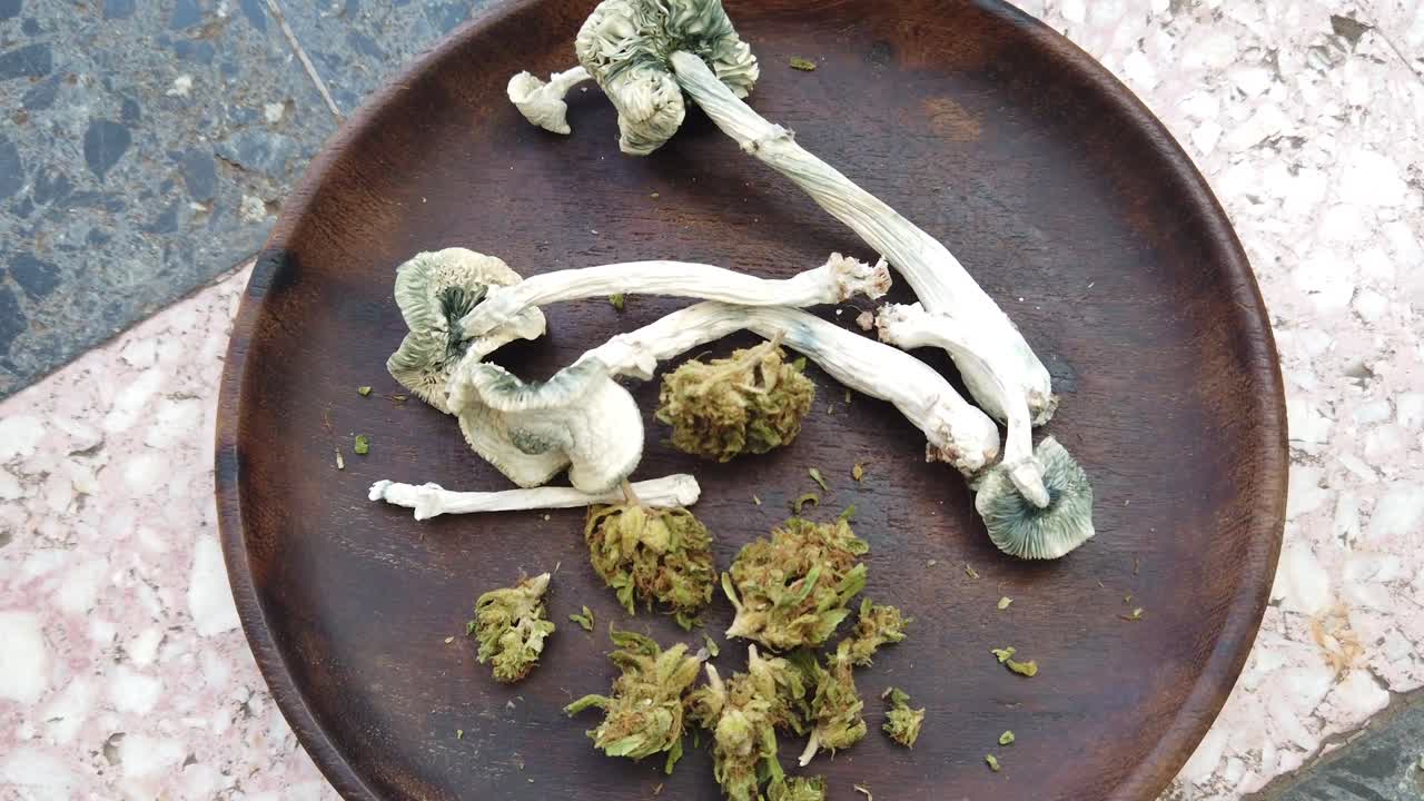 Psychedelic Mushrooms and Weed, Marihuana buds together close up view