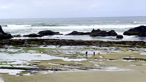 people walking on a rocky ocean beach