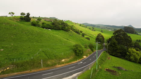 vasta y exuberante vegetación al aire libre en el área de karitane dunedin en nueva zelanda, carreteras y hermosos prados verdes de nueva zelanda