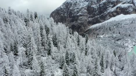 aerial-shot-of-snowy-pine-forest