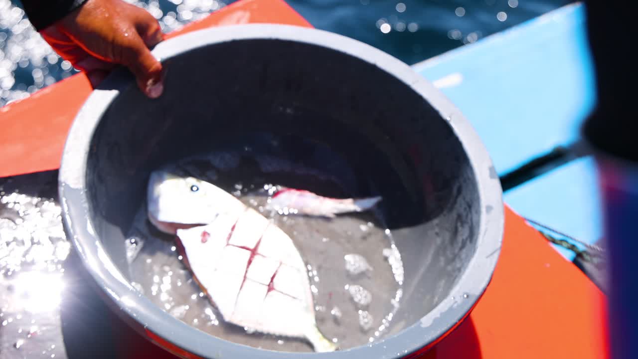 한 사람 이 선박 의 그 에 있는 물고기 를 고, 밝은 빛 아래, 전통적 인 시 관습 을 보여 준다