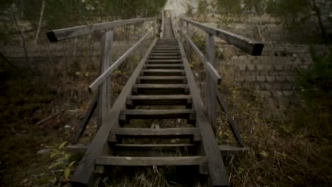 subiendo escaleras de madera en un bosque