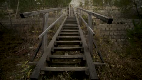 climbing wooden stairs in a forest