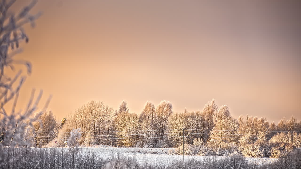 시골 숲의 눈 덮인 풍경의 시간 경과