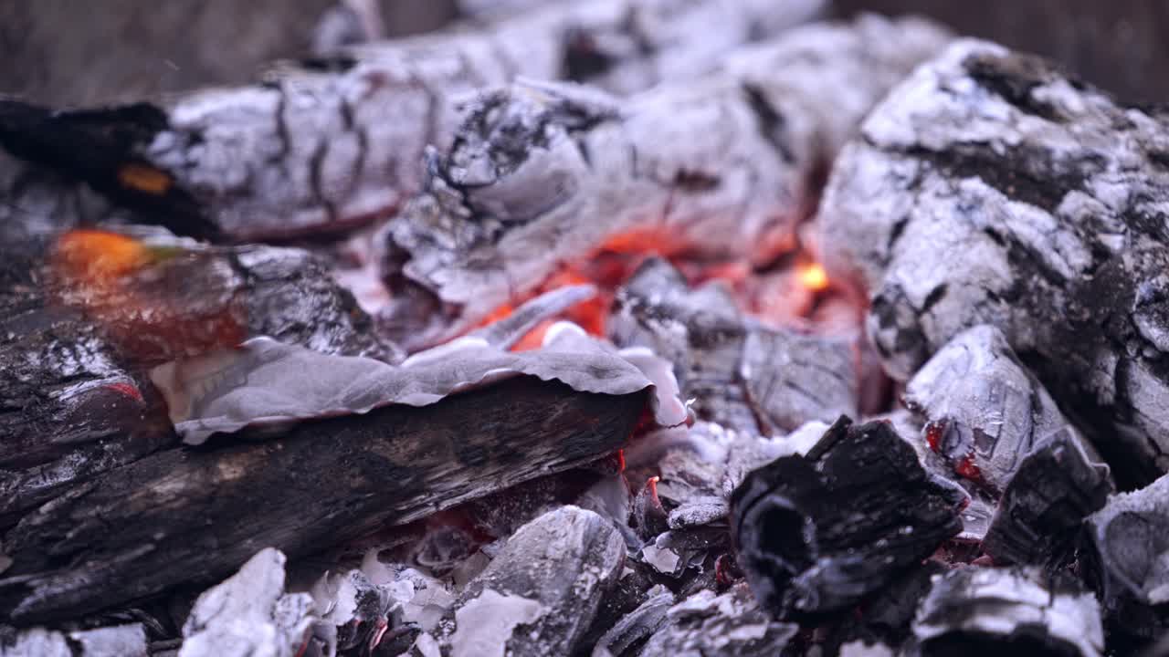 Burning money. 100 dollars bill burns in the fire. American money in flame on the background of burning up firewood. Close-up.