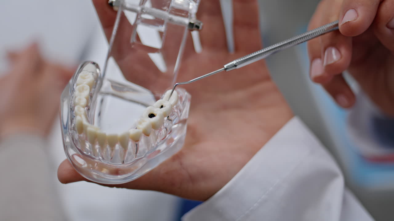 Dentist inspecting plastic teeth model in modern clinic closeup. Unknown woman
