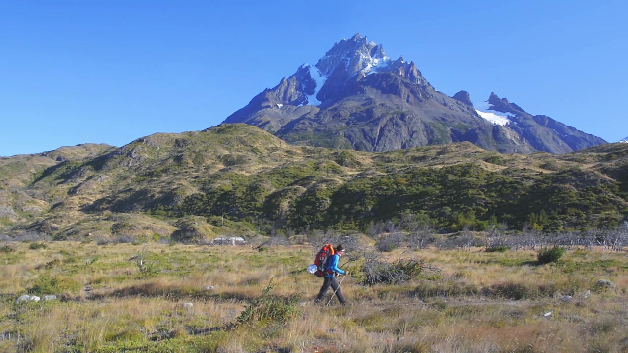 Jovem mulher fazendo trilha em um prado no Parque Nacional Torres del Paine, na Patagônia, Chile. Trekking na Patagônia. Conceito de viagem e aventura