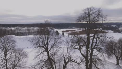 Alte-Bäume-Auf-Einer-Verschneiten-Wallburg-Im-Winter