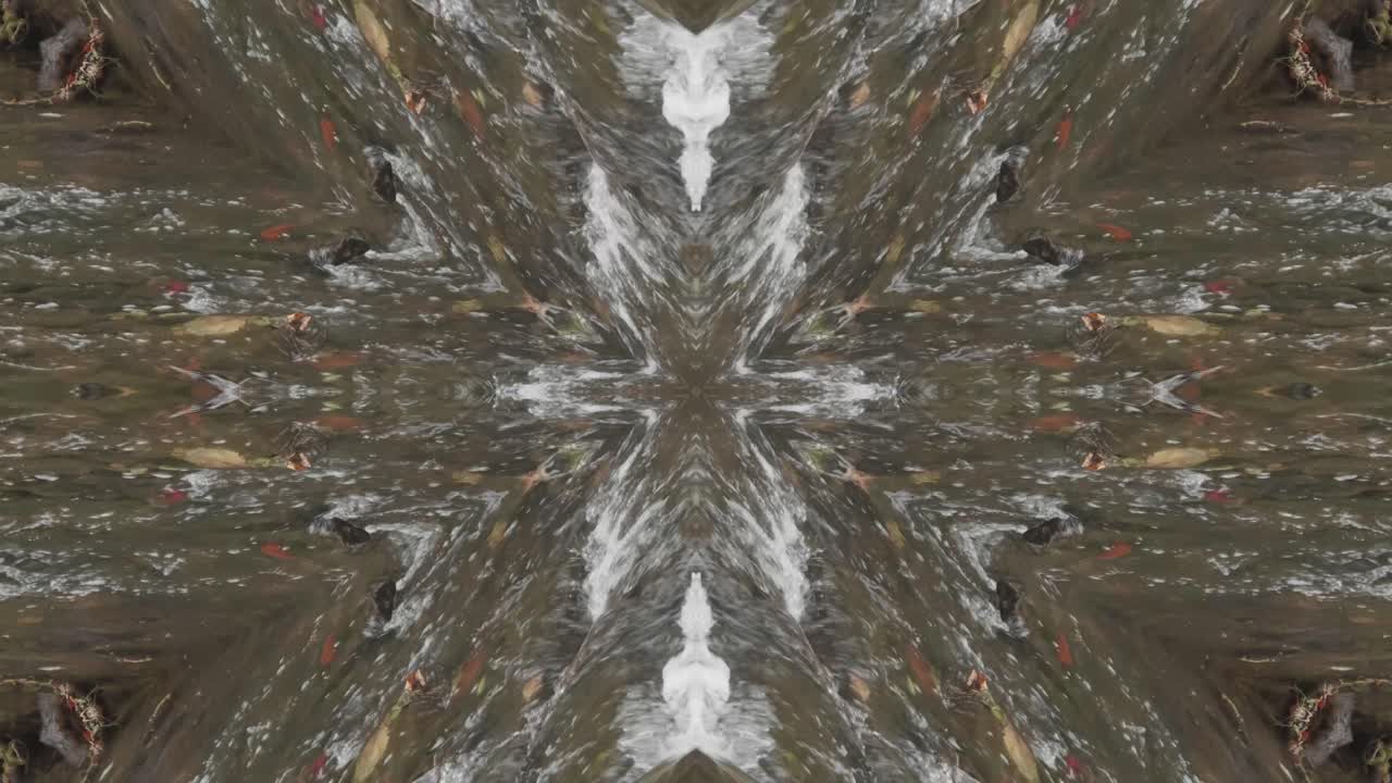 caleidoscopio de tomas de la naturaleza, wissahickon creek