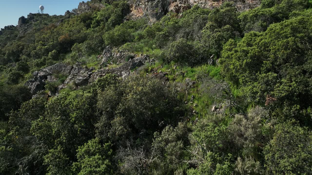 vista única de una iglesia en medio de la naturaleza