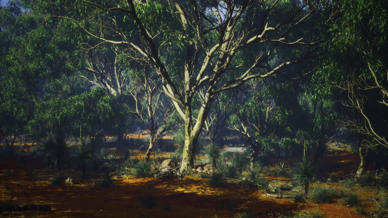 Lush green trees and vibrant underbrush in a serene forest landscape